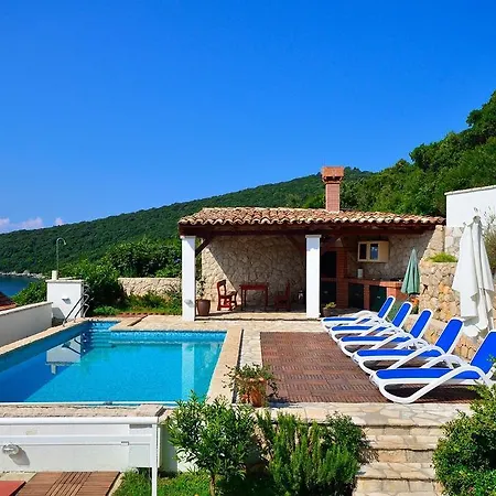 Becir - Pool Molunat